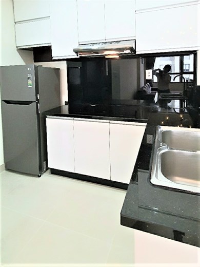 T4 A20 (1)